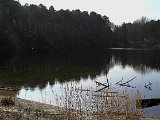 Pannenkoekenmolenloop 2016 - 17.jpg